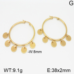 Stainless Steel Earrings  5E2001220vajj-703