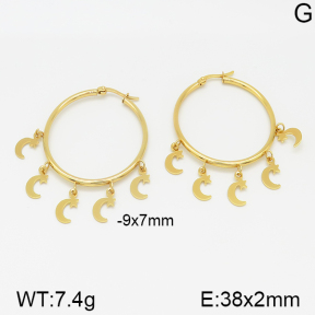 Stainless Steel Earrings  5E2001221vajj-703