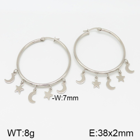 Stainless Steel Earrings  5E2001222vajj-703