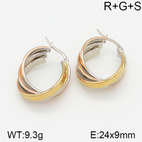Stainless Steel Earrings  5E2001225ablb-703
