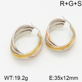 Stainless Steel Earrings  5E2001226ablb-703