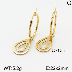 Stainless Steel Earrings  5E2001232aaim-703