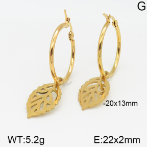 Stainless Steel Earrings  5E2001234aaim-703