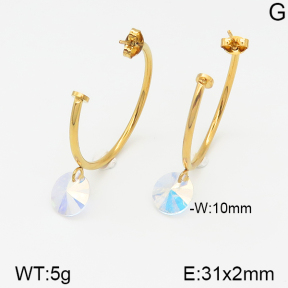 Stainless Steel Earrings  5E4000961aajl-703