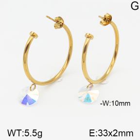 Stainless Steel Earrings  5E4000962aajl-703