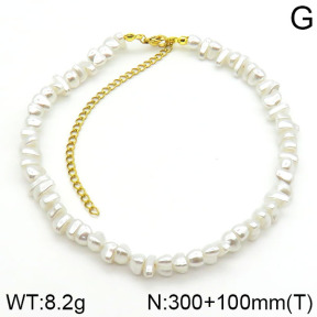 Stainless Steel Necklace  2N3000504vhhl-900