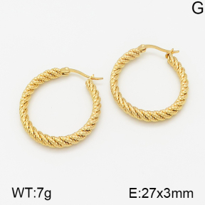 Stainless Steel Earrings  5E2001243vbmb-317