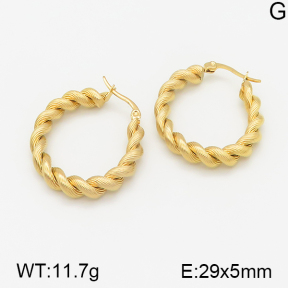 Stainless Steel Earrings  5E2001244vbmb-317