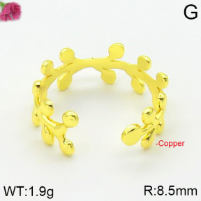 Fashion Copper Ring  F2R200008vbmb-J59