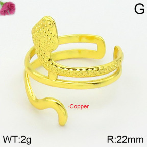 Fashion Copper Ring  F2R200009vbmb-J59