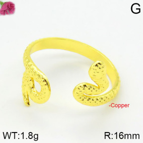 Fashion Copper Ring  F2R200012vbmb-J59