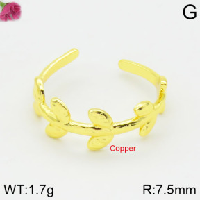 Fashion Copper Ring  F2R200022vbmb-J59