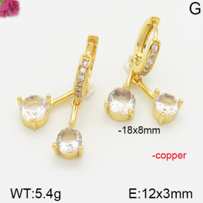 Fashion Copper Earrings  F5E400607bhia-J111