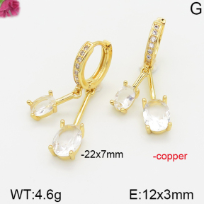 Fashion Copper Earrings  F5E400619bhia-J111