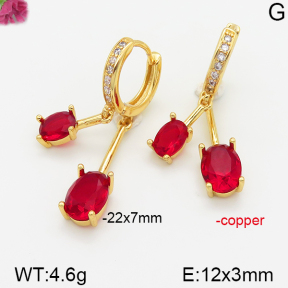 Fashion Copper Earrings  F5E400622bhia-J111