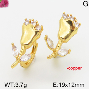 Fashion Copper Earrings  F5E400638vhkb-J111