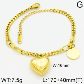 Stainless Steel Bracelet  2B2000853bhia-488