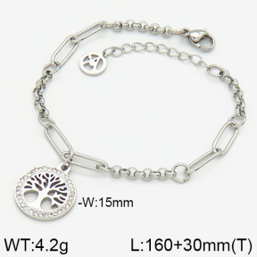Stainless Steel Bracelet  2B4001180vhha-488
