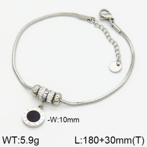 Stainless Steel Bracelet  2B4001182ahjb-488