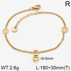 Stainless Steel Bracelet  2B4001191bhia-488