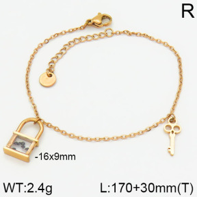 Stainless Steel Bracelet  2B4001200vhha-488