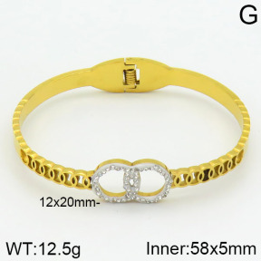 Stainless Steel Bangle  2BA400423bbov-739