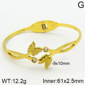 Stainless Steel Bangle  2BA400428bbov-739