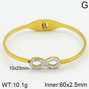 Stainless Steel Bangle  2BA400433bbov-739