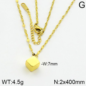 Stainless Steel Necklace  2N2001020vbmb-739