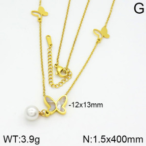Stainless Steel Necklace  2N3000498abol-739