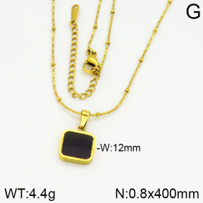 Stainless Steel Necklace  2N4000599vbmb-739