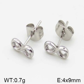 Stainless Steel Earrings  5E2001246ablb-493