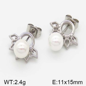 Stainless Steel Earrings  5E3000448vbll-493