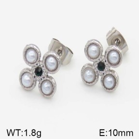 Stainless Steel Earrings  5E3000450vbll-493