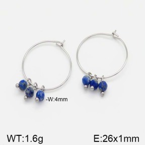 Stainless Steel Earrings  5E4000965vbnb-493