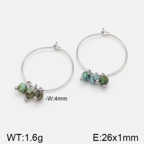 Stainless Steel Earrings  5E4000967vbnb-493