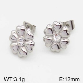 Stainless Steel Earrings  5E4000969ablb-493