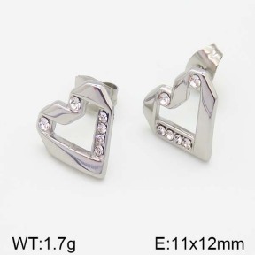Stainless Steel Earrings  5E4000970vbll-493