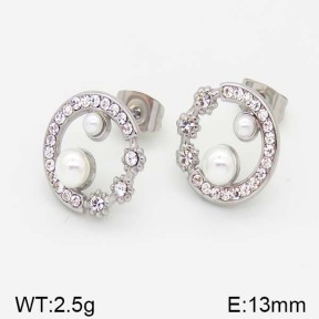 Stainless Steel Earrings  5E4000971vbmb-493