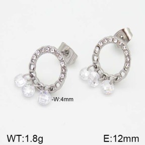 Stainless Steel Earrings  5E4000972vbnb-493