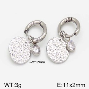 Stainless Steel Earrings  5E4000973vbmb-493