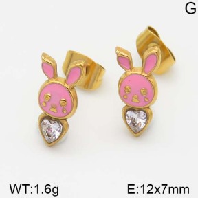 Stainless Steel Earrings  5E4000975vbmb-493