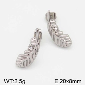 Stainless Steel Earrings  5E4000980ablb-493