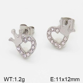 Stainless Steel Earrings  5E4000982vbll-493