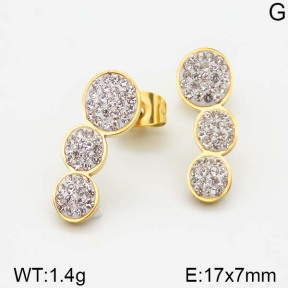 Stainless Steel Earrings  5E4000983vbmb-493