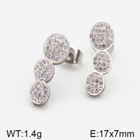 Stainless Steel Earrings  5E4000984vbll-493