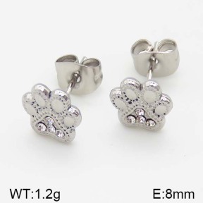 Stainless Steel Earrings  5E4000986ablb-493