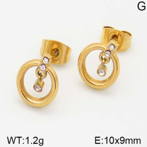 Stainless Steel Earrings  5E4000987vbll-493