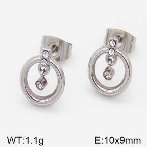 Stainless Steel Earrings  5E4000988ablb-493