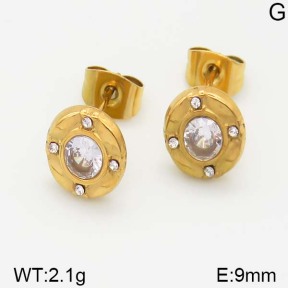 Stainless Steel Earrings  5E4000989vbll-493